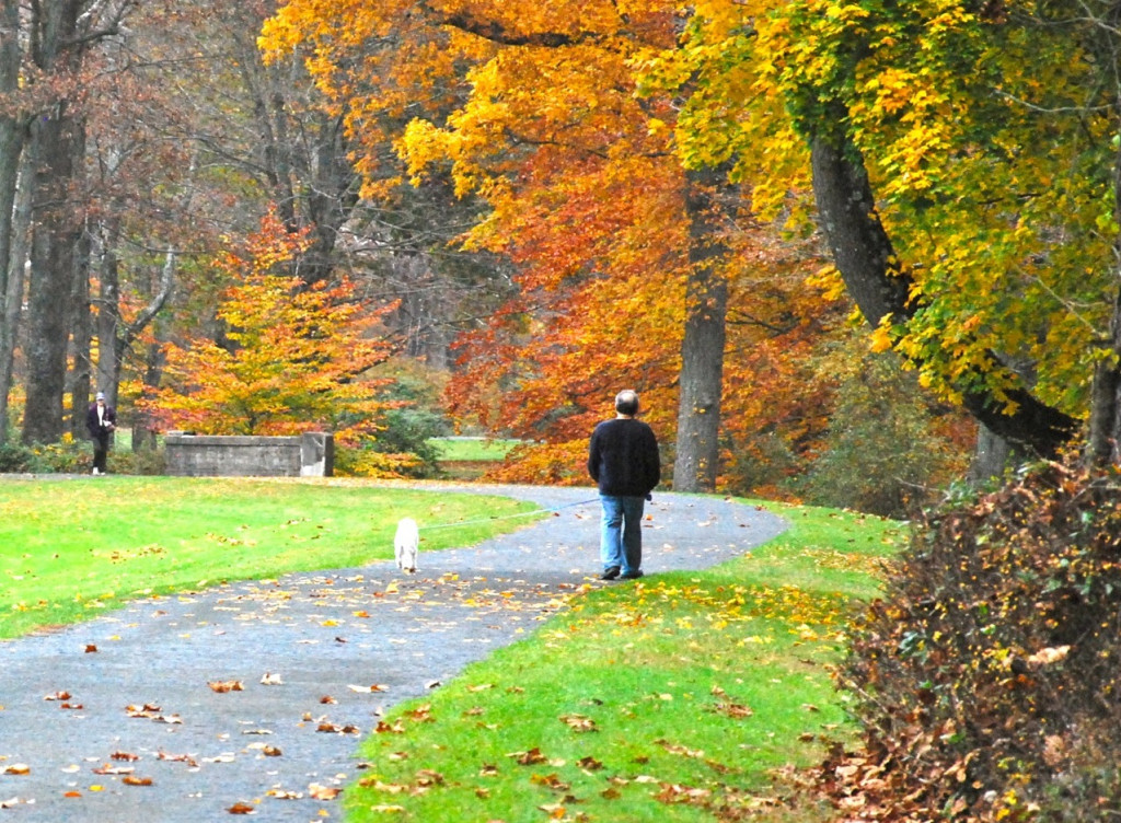 new jersey foliage beautiful fall weekend expected
