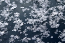 Oct 28: First Snowflakes Possible this Weekend!