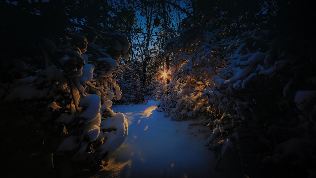 Suddenly you find yourself in a frozen world of wonder by greg molyneux photography