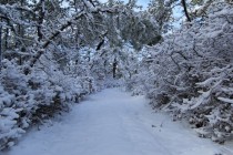 Nov 23: Winter Storm a GO for Wed-Thurs!