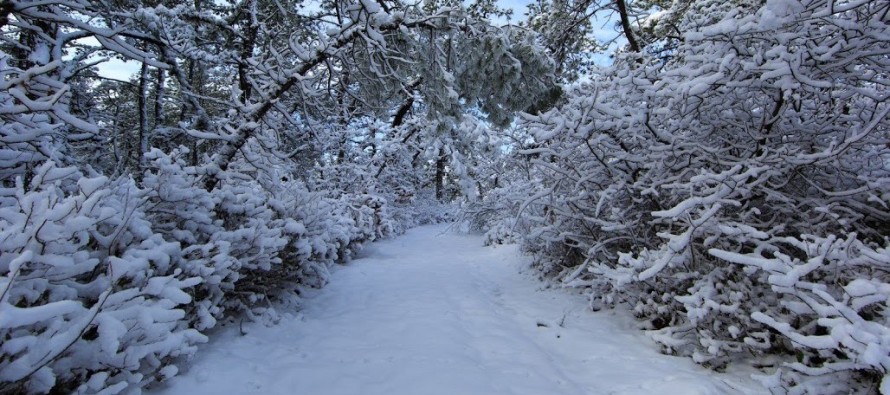 Nov 23: Winter Storm a GO for Wed-Thurs!