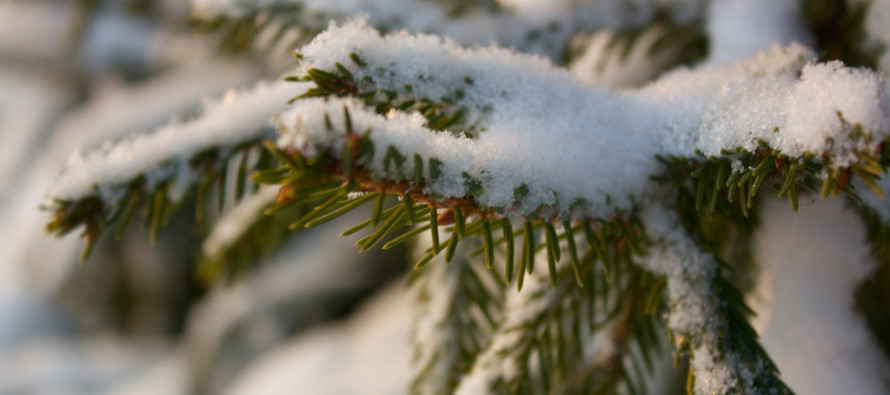 Jan 4: Light Snow Storm and Arctic Outbreak Detected!