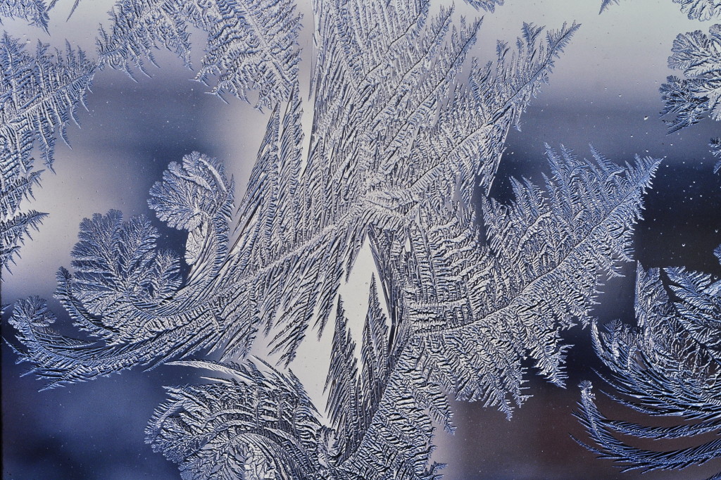 frozen windshield
