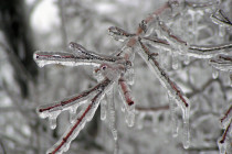 Jan 10: Monday Ice Storm Detected!