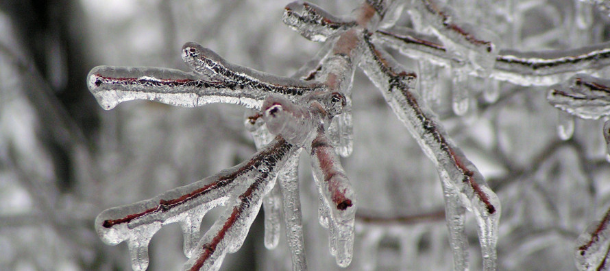 Jan 10: Monday Ice Storm Detected!