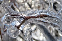 Feb 11: Ice Storm(s) Detected