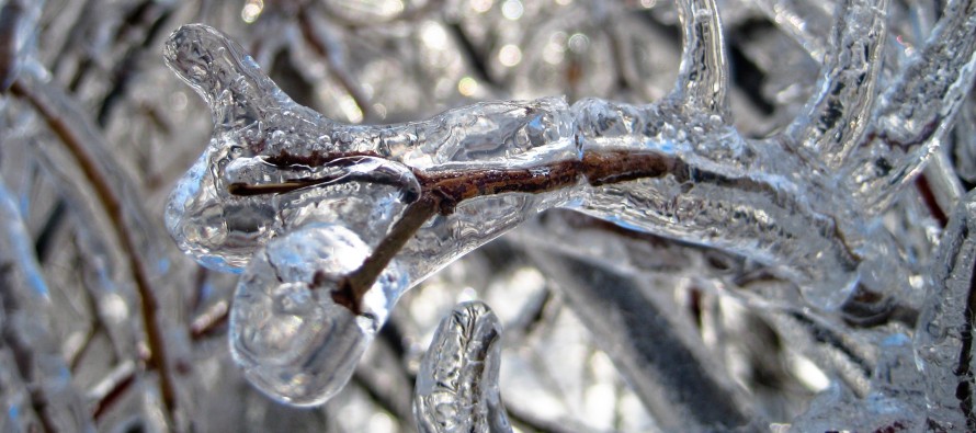 Feb 11: Ice Storm(s) Detected