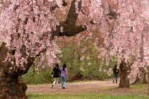 Mild Spring Week Expected (April 13-17)