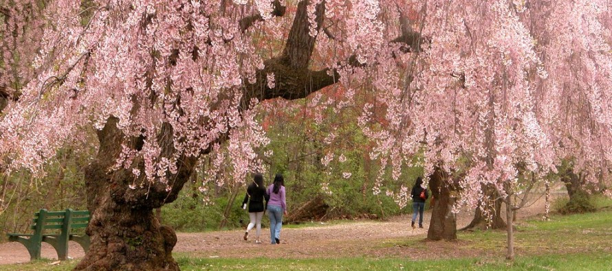 Mild Spring Week Expected (April 13-17)