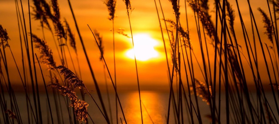 Week Starts Warm and Humid. Ends Beautiful (May 18-22)