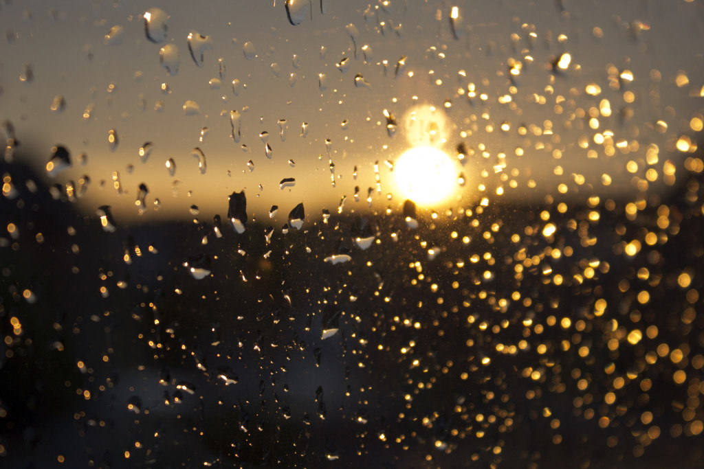 sun and rain