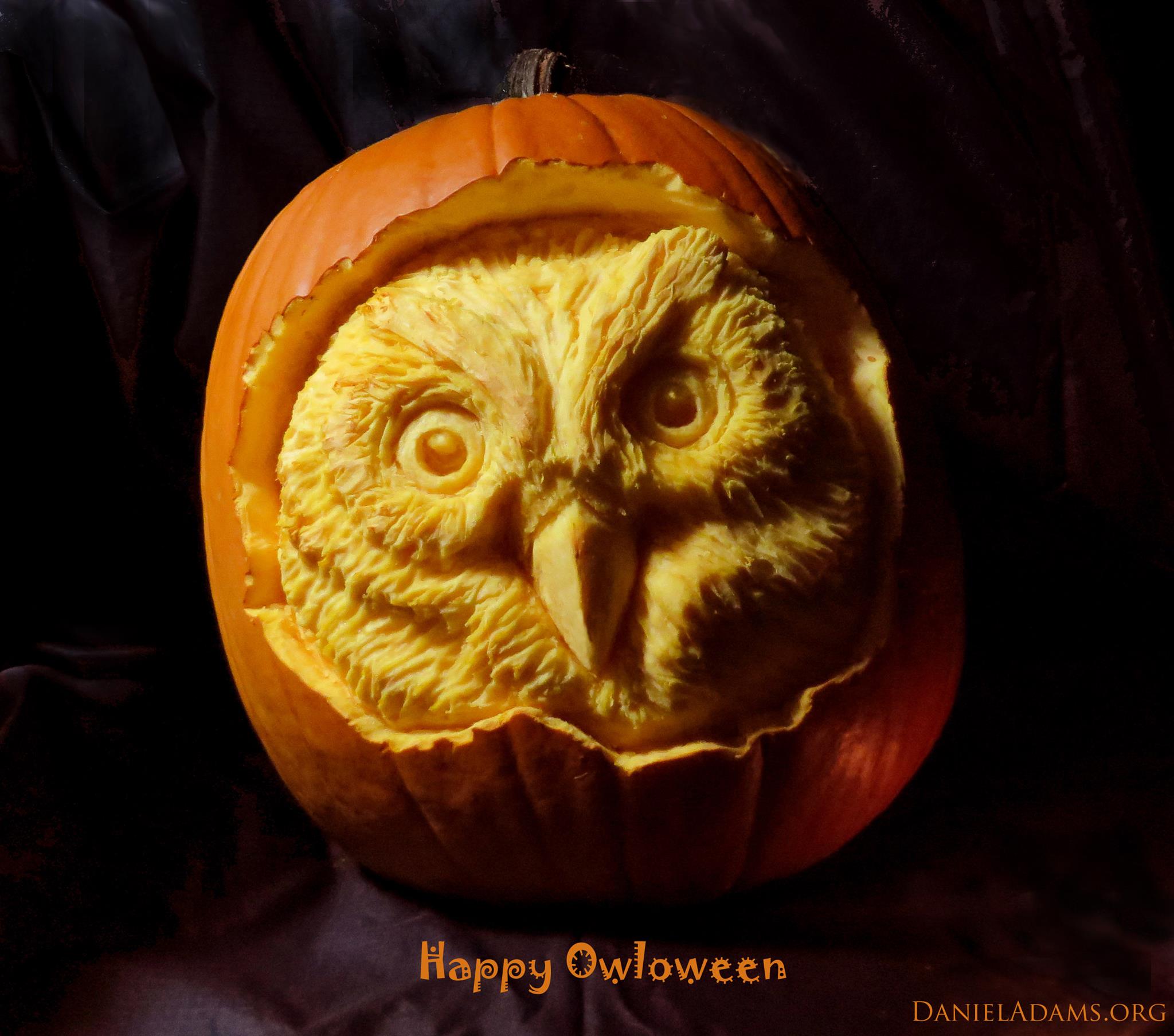 Happy Owloween by Daniel Adams