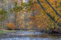 Mild Week Expected (Nov 2-6)