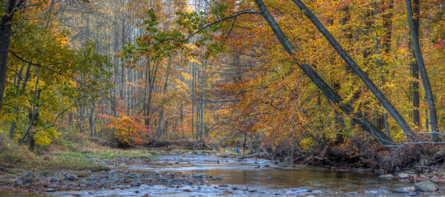 Mild Week Expected (Nov 2-6)