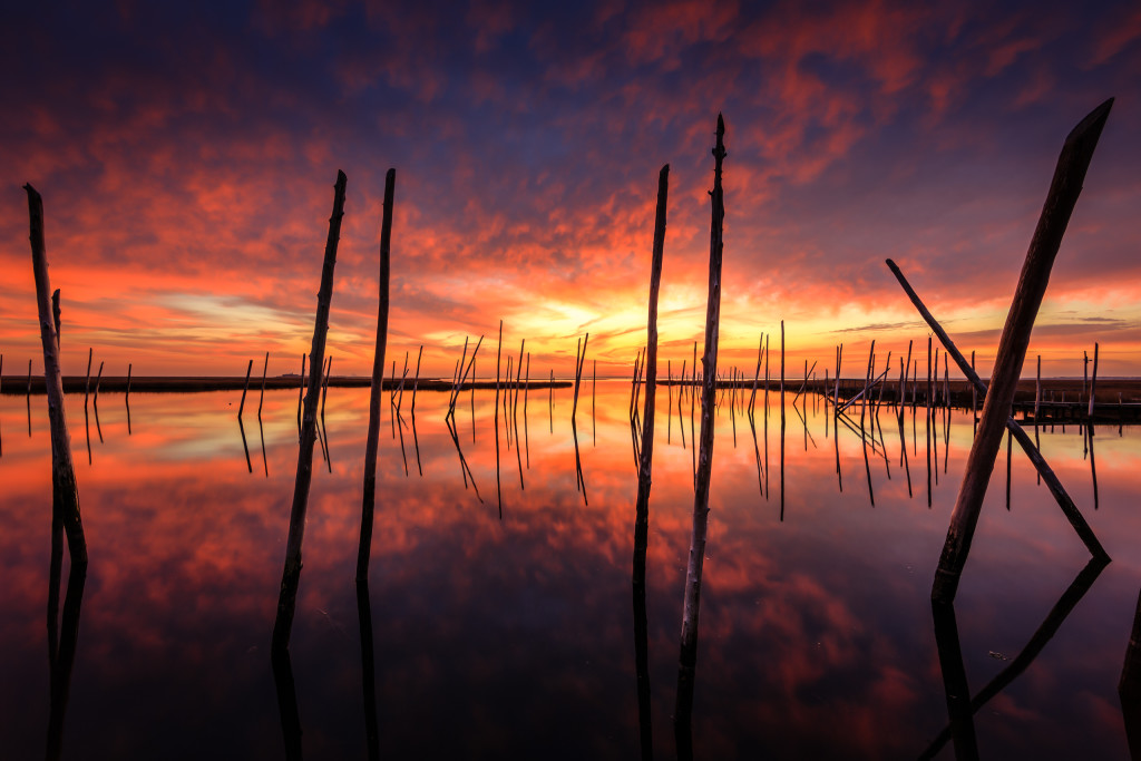 Ruinous Splendor by Greg Molyneux Photography