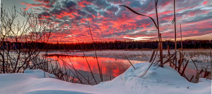 Milder Week Expected (Jan 25-29)