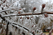 Feb 11: Possible Ice Storm Detected