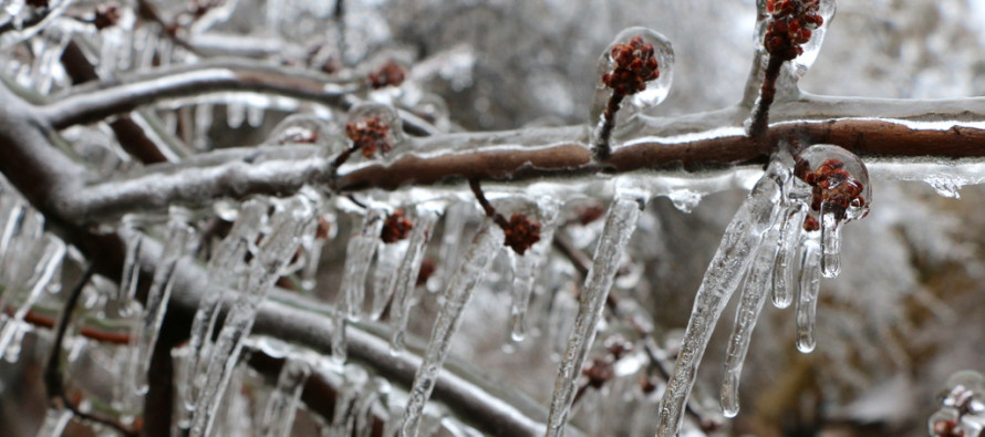 Feb 11: Possible Ice Storm Detected
