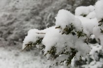 Feb 3: Coastal Snowfall Detected!