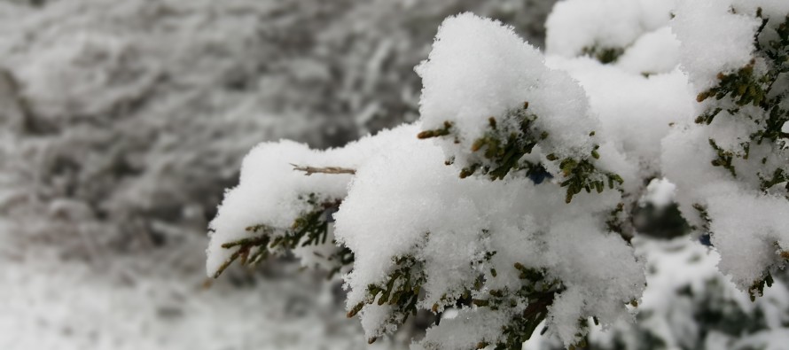 Feb 3: Coastal Snowfall Detected!