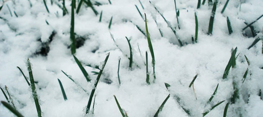 Feb 27: Friday AM Snow Detected