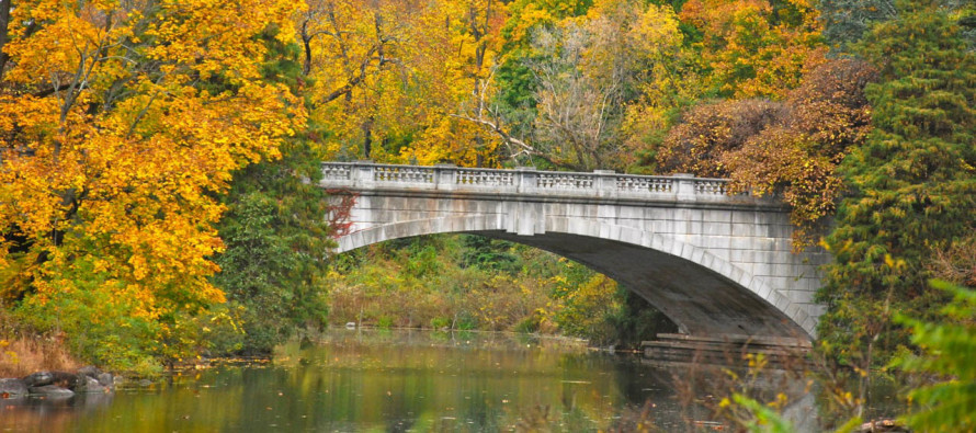 Mild Start. Chilly Finish (Oct 5-9)