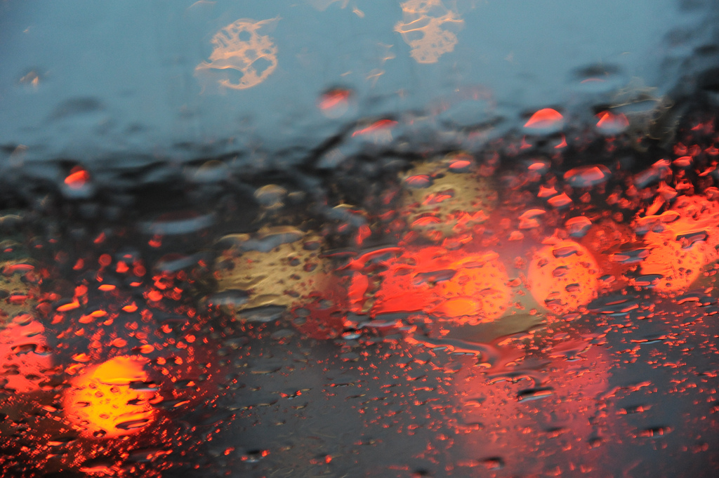 Mild And Wet Week Expected Nov 28 Dec 2 WeatherNJ