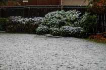 Snow Squalls Possible Saturday