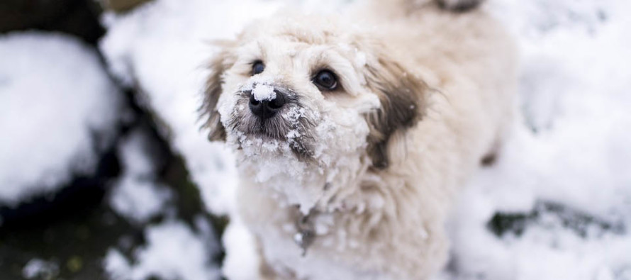 Feb 13: Tracking More Snow