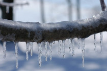 Feb 5: NNJ Ice Storm Update