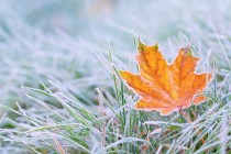 Nov 17: Cold Temperatures Approaching