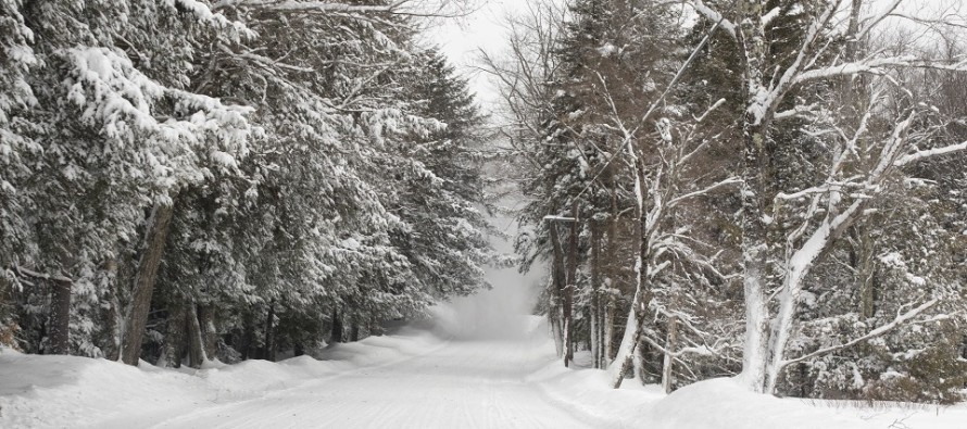 Jan 30: Snow Targeting SNJ Friday