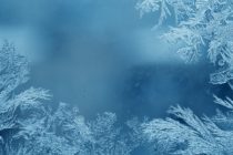 Cold and Dry (Dec 7-11)
