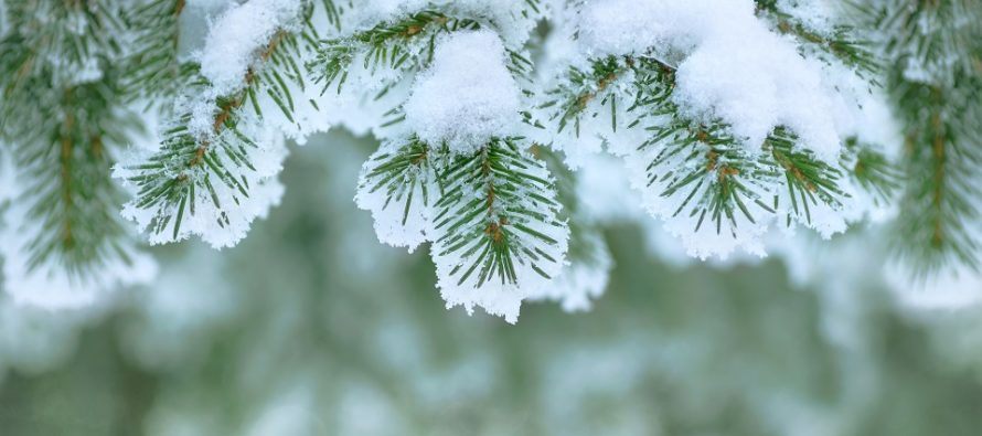 Tracking Late-Weekend Snow