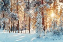 Feb 6: Winter Storm Approaching New Jersey