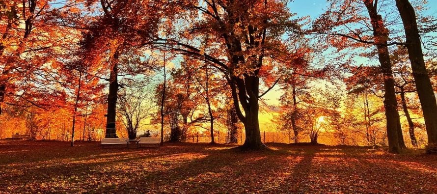 A Gorgeous Fall Weekend Expected