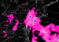 More Rain Detected