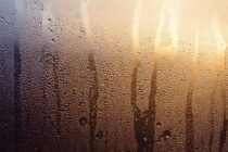 Humid Stormy Pattern Sustains
