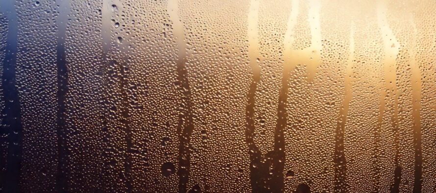 Humid Stormy Pattern Sustains