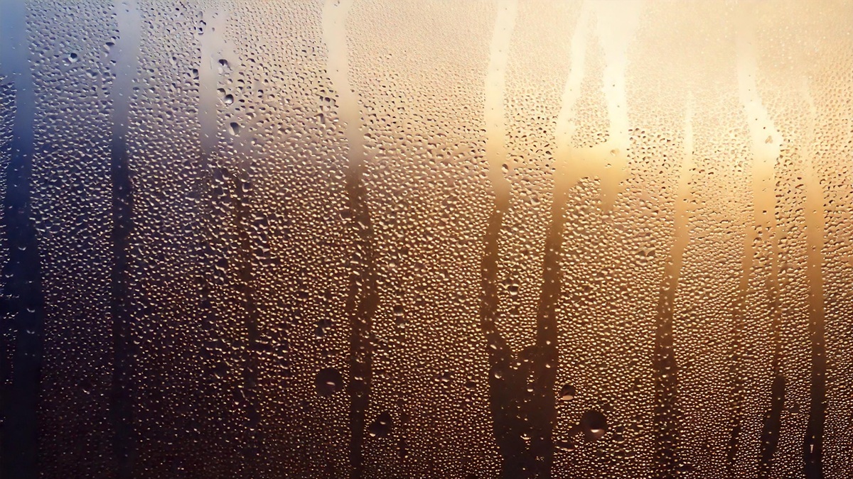 Humid Stormy Pattern Sustains