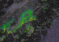 Rain and Storms to Break the Humidity