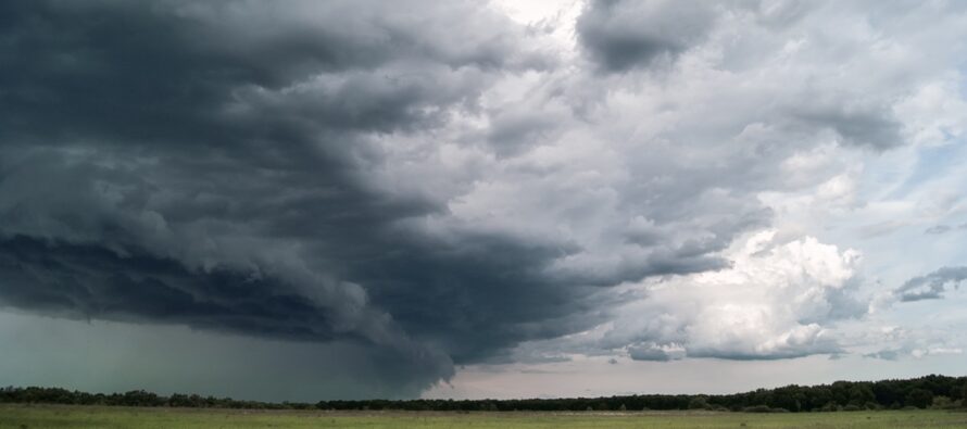 Mixed Conditions Reload Cooler Drier Pattern
