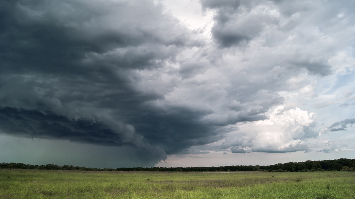 Mixed Conditions Reload Cooler Drier Pattern