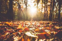 Nice Fall Stretch Continues