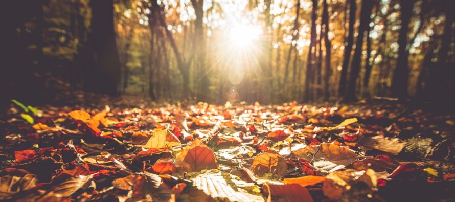 Nice Fall Stretch Continues