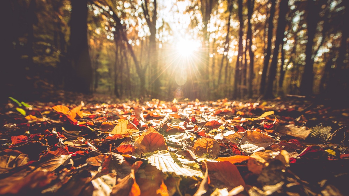 Nice Fall Stretch Continues