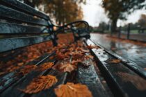 Cold Start. Wet Transition. Milder Finish