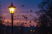 A Windy Wednesday Night Expected