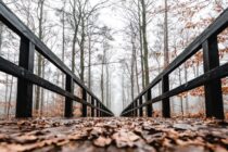 Mixed Conditions as Fall Begins to Sunset