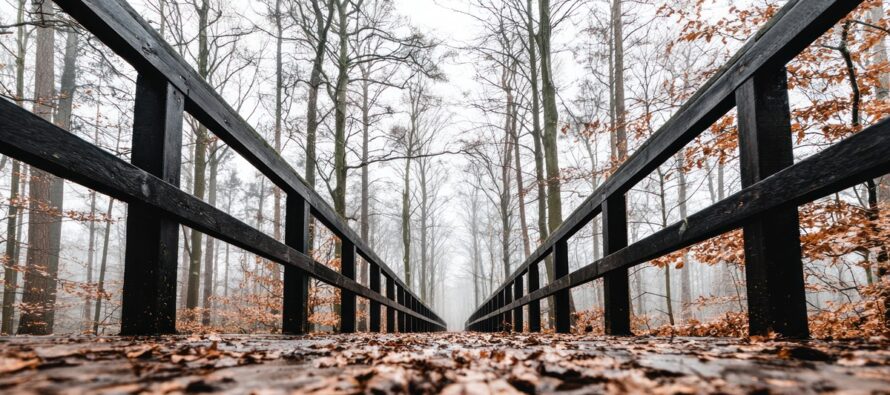 Mixed Conditions as Fall Begins to Sunset